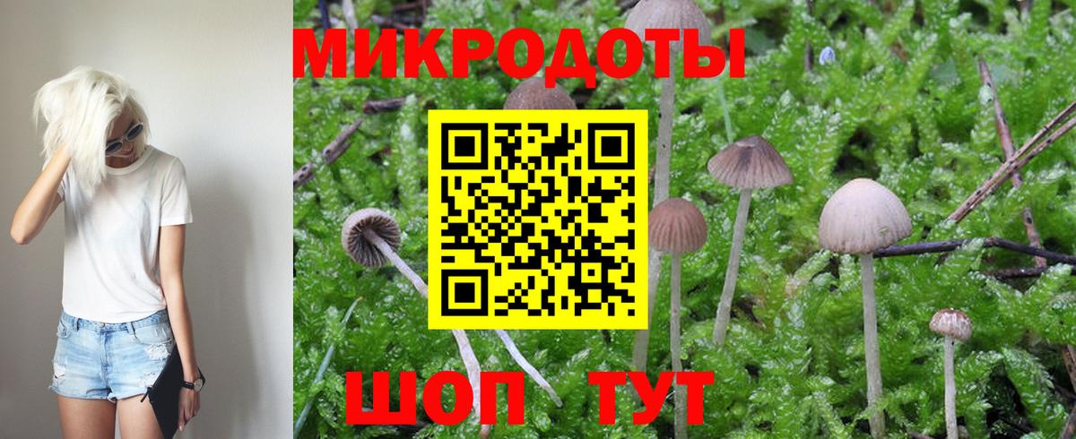 Псилоцибиновые грибы мицелий  Вход с VPN  Кировск 